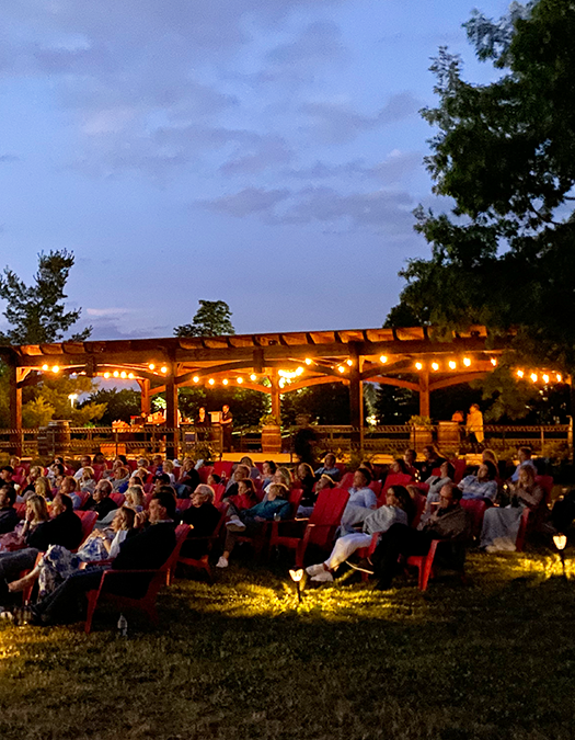Movie Night in the Vineyard