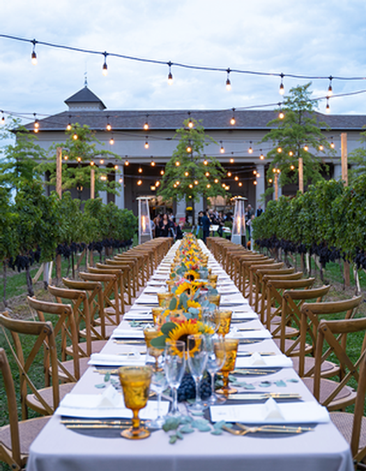 Dinner in the Vineyard