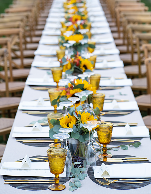 Dinner in the Vineyard