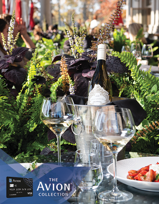 The Avion® Collection Al Fresco Lunch