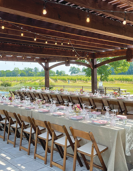 Dinner in the Vineyard