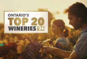 Ontario's top 20 wineries graphic