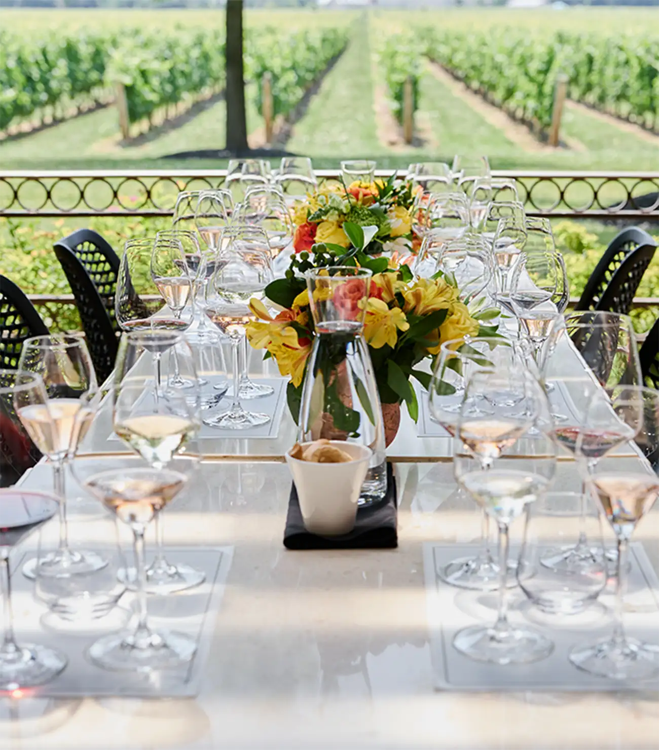 Two Sisters Vineyards Corporate Events, the Veranda.