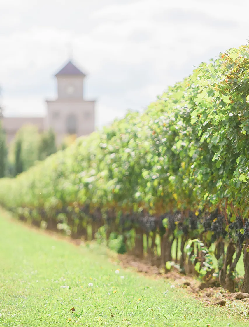 Two Sisters Vineyards, Visit Our Estate.