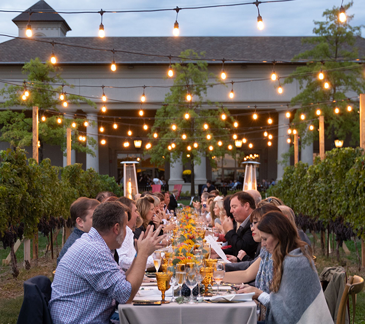 Dinner in the Vineyard